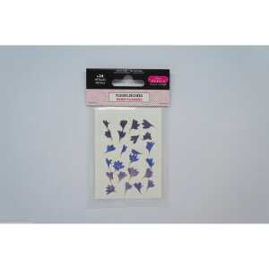 Getrockn. Kornblumenblätter bl/viol