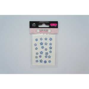 Trockenblumen Vergissmeinnich