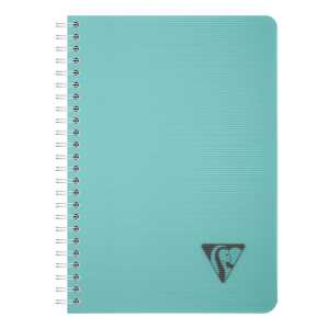 LinicolorSp NotizbA5 90Bl lin Lagun