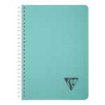 LinicolorSp NotizbA5 90Bl lin Lagun