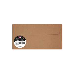 5 Umschläge Pollen 110x220 kraft