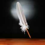 Gänsekiel + Metallfeder Cito fein