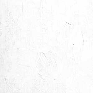 Öl Silberweiß - 35ml Tube