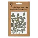 Trockenblumen 10 Stück Grün 2