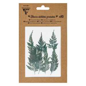 Trockenblumen 10 Stück Grün 1