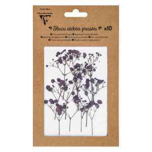 Trockenblumen 10 Stück Lavendel