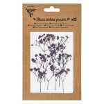 Trockenblumen 10 Stück Lavendel