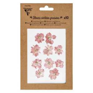 Trockenblumen 10 Stück rosa