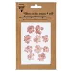 Trockenblumen 10 Stück rosa