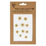 Trockenblumen 10 Stück gelb