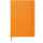 Webplanner Hori 2026 A5 Orange