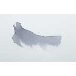 Tinte eclats 250ml zinkgrau