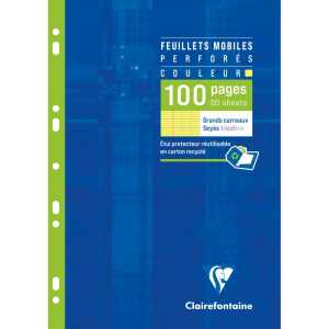 Ringbucheinlag 50Bl Frz. Lin gb