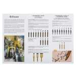 100 Flyer Kalligrafie Brause 10x21