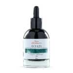 Tinte eclats 50ml kaisergrün