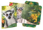 RNK Zeichenmappe Lemur DIN A3