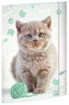 RNK Zeichenmappe Kitty DIN A3