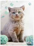 RNK Zeichenmappe Kitty DIN A3