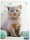 RNK Zeichenmappe Kitty DIN A3