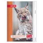 Roth HA-Hefte KidsuTiere für clevere Faule Luchs