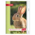 Roth HA-Hefte KidsuTiere für clevere Faule Hase