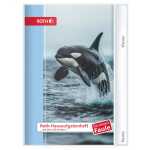 Roth HA-Hefte KidsuTiere für clevere Faule Orca