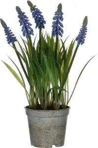 Kunstblume Traubenhyazinthe im Topf blau 27x8,5cm