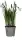 Kunstblume SchneeglÃ¶ckchen im Topf weiss 24x8,5cm
