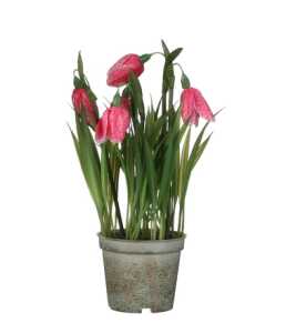 Kunstblume Schachblume im Topf rosa 23x8,5cm