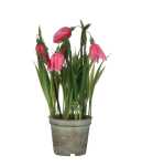 Kunstblume Schachblume im Topf rosa 23x8,5cm