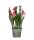Kunstblume Schachblume im Topf rosa 23x8,5cm