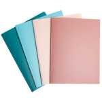 Sichtmap A4 40 Hüllen RC PP SKANDI