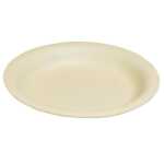 Wiederverwendbarer Teller tief 21cm