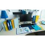Archivbox PP R40mm BeeBlue blau