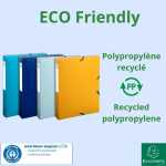 Archivbox PP R40mm BeeBlue blau