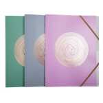 Ordnungsm 6F PP A4 Ellipse sort