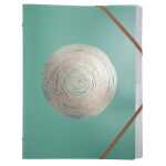 Ordnungsm 6F PP A4 Ellipse sort