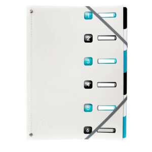 Ordnungsmappe dehn 6F Titan PP sort