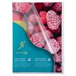 100 Prospekth A4 PP gen 120µ farbl