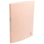 Ringbuch 2R 15mm PP A4 SKANDI st