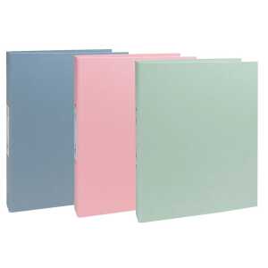 Ringbuch 2R 30mm A4 AutentiK st