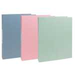 Ringbuch 2R 30mm A4 AutentiK st