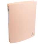 Ringbuch 4R 30mm PP A4 SKANDI st