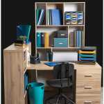 Papierkorb Ecobin NeoDeco Entenblau