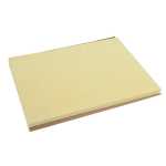 Tischset TISS-LACK Elfenb 30x40 500