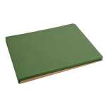 Tischset TISS-LACK Olive 30x40 500