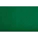 Tischset TISS-LACK Tanngn 30x40 500