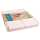 Kiste Smart Case MAXI Hellrosa