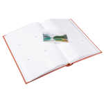 Goldbuch Einsteckalbum 300F 10/15 Aura