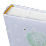 Goldbuch Fotoalbum Balloon Party